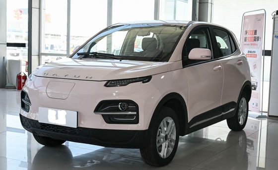 2022 Dayun Automobile EV Yuehu 300 5 Doors 5 Seats SUV Cltc 300Km